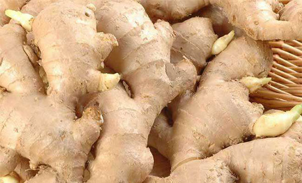 ������ѿ�ܳ��� �Է�ѿ�������������Ƿ��к�